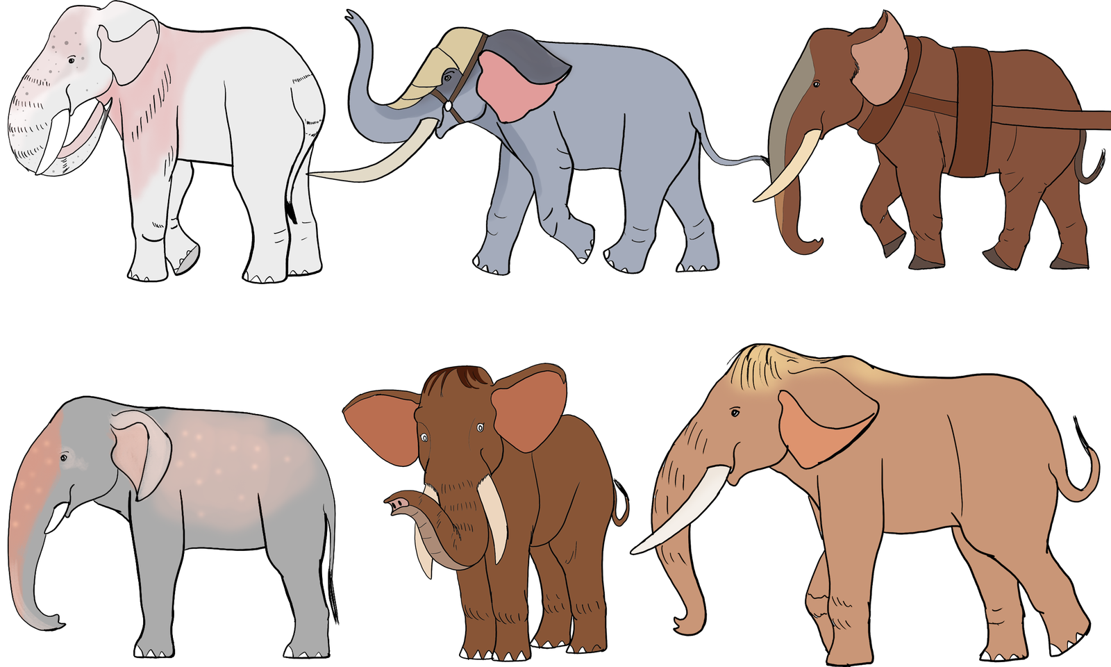domestic_elephant_breeds_by_troyodon-dcrexfx.png